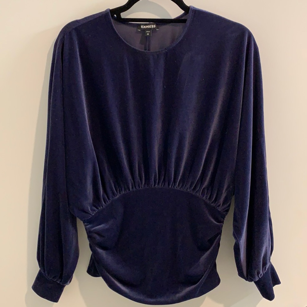 Express Blue Velvet Top